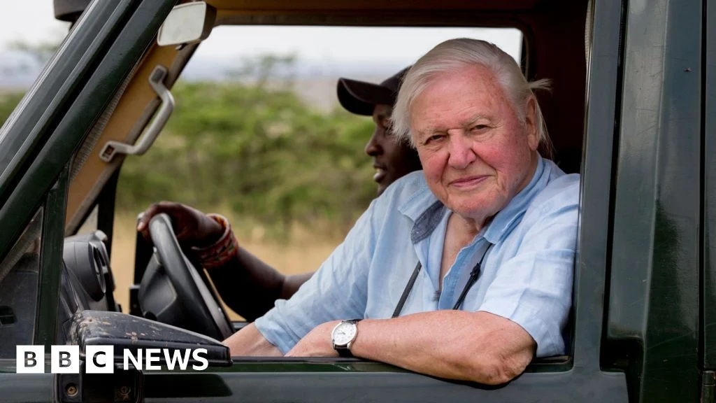 Sir David Attenborough has been instrumental in building Bristol's reputation as a global hub for wildlife filmmaking.