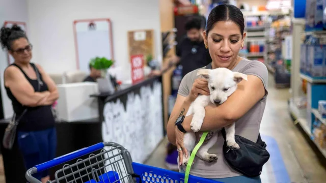 PetSmart’s Only San Francisco Store Set To Close Amid Online Shopping Shift